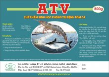 ATV ATV