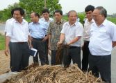 Lãnh đạo bộ TNMT thăm quan mô hình XLRR ngày 29.7.2011