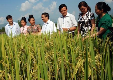 Expanding cultivation SDFRI